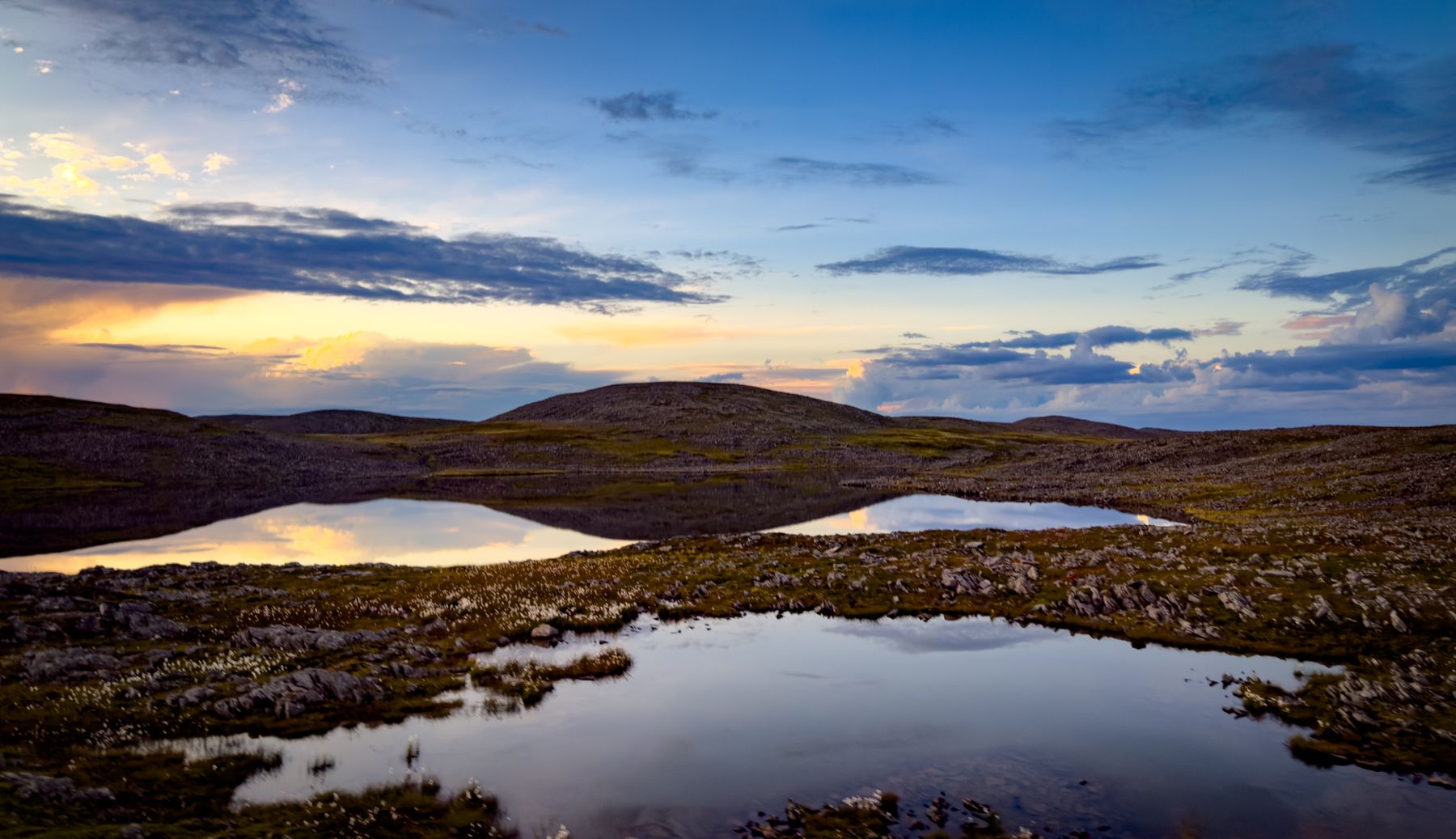 Surreal Water Reflections 2